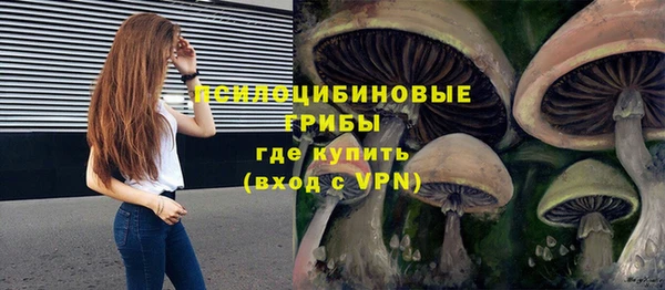 apvp Семилуки