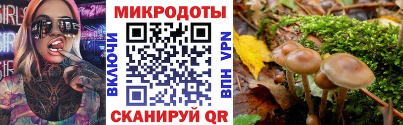 Галлюциногенные грибы мухоморы ссылка на мегу tor Вуктыл