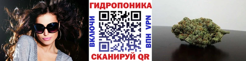 Шишки марихуана Bruce Banner  наркотики  Вуктыл 